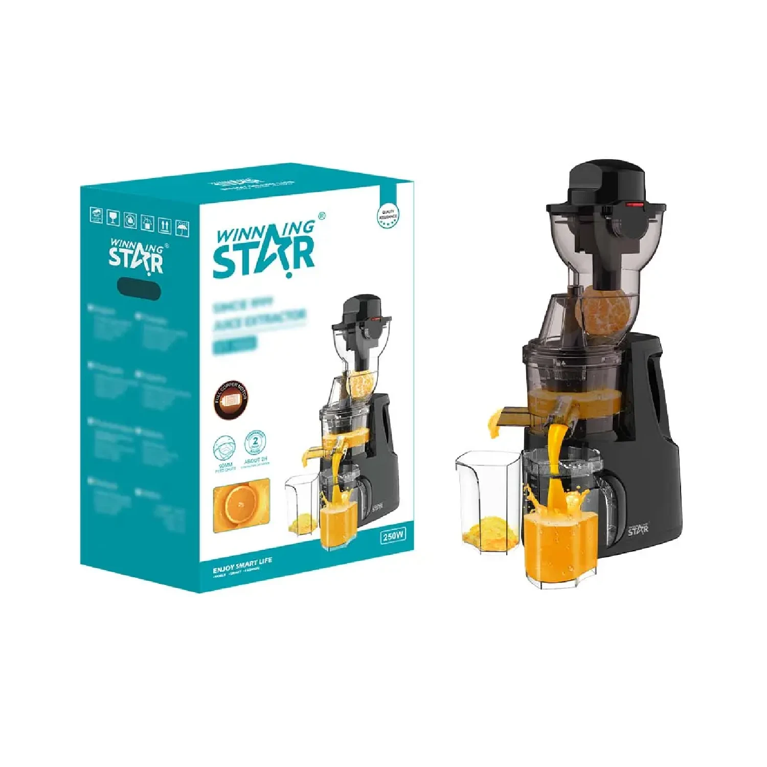 Winning Star шүүс шахагч ST-1020 - зураг 4