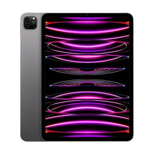 Apple iPad Pro 11-inch (4th gen) M2 Chip Wi-Fi 256GB Space Gray /MNXF3/ - 1